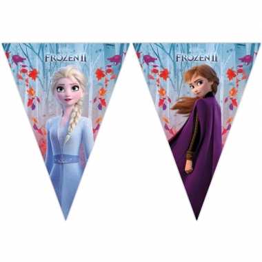 Disney frozen 2 feest vlaggenlijn 2 meter