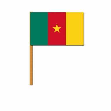 Kameroen zwaaivlaggetjes