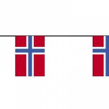 Feestwinkel | papieren vlaggenlijn noorwegen morgen amsterdam