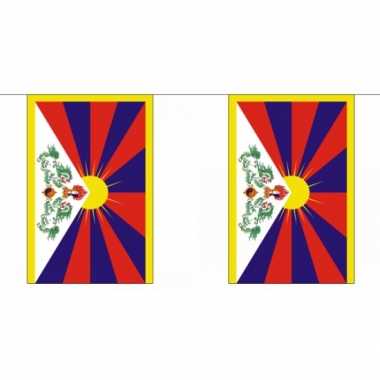 Polyester vlaggenlijn tibet 9 m