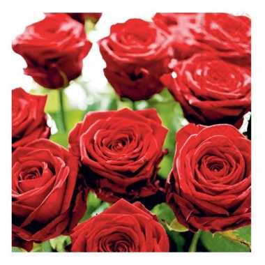 Feestwinkel |  Rode rozen servetten 33 cm morgen Amsterdam