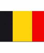 Belgie vlaggen
