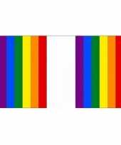 Gay pride regenboog vlaggenlijn 36 m