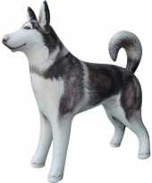 Opblaas husky hond dieren 75 cm realistische print