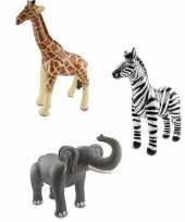 Opblaasbare zebra olifant en giraffe set
