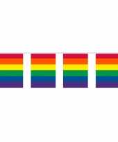 Vierkante regenboog vlaggenlijnen 10 meter