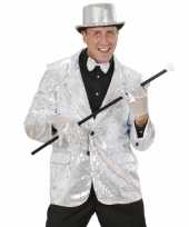 Zilveren glitter jassen